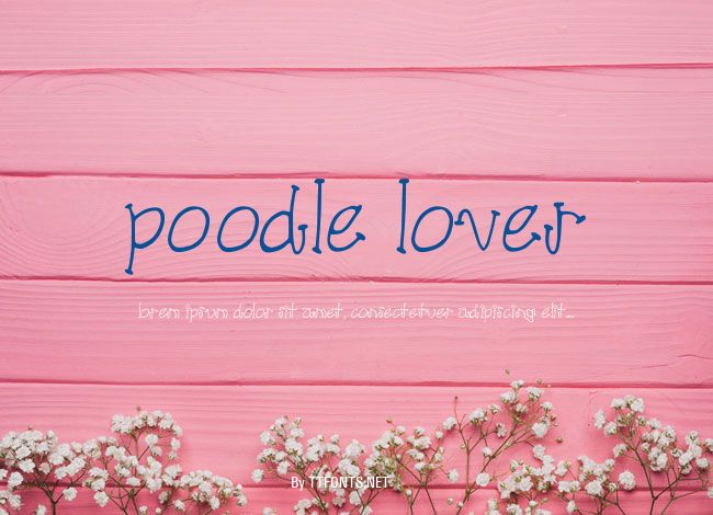 poodle lover example